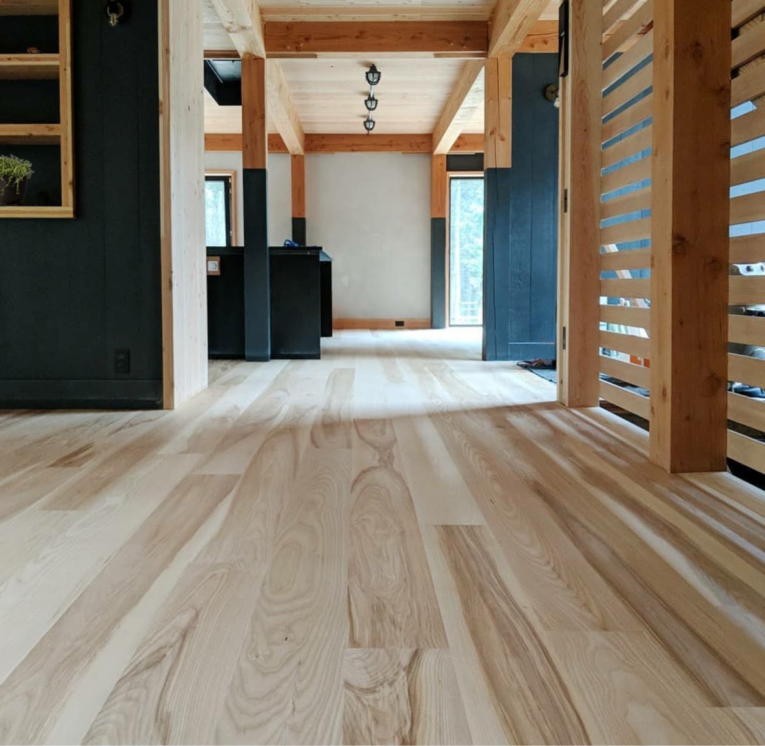 Select Ash Wide Plank Flooring in Open Room