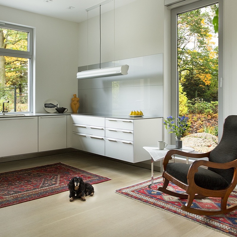 rift quarter sawn oak flooring - modern kitchen, dog