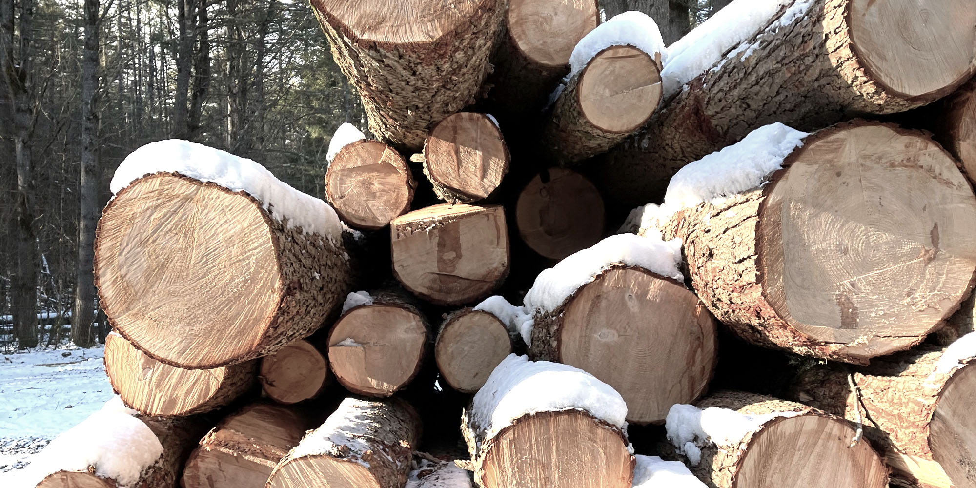 vermont plank flooring timber pine logs