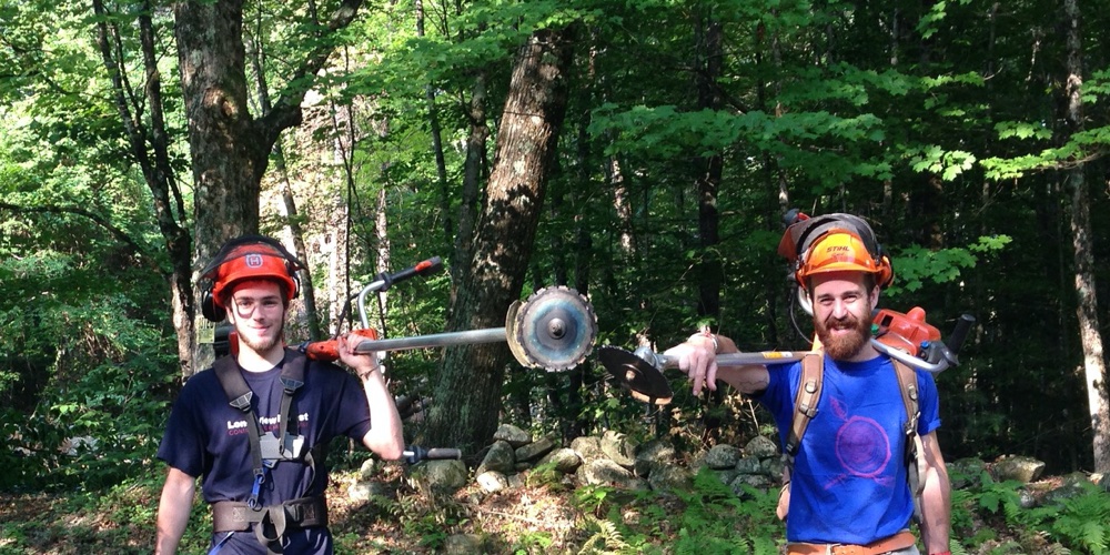 Sawyers in Timber Forest with Tools