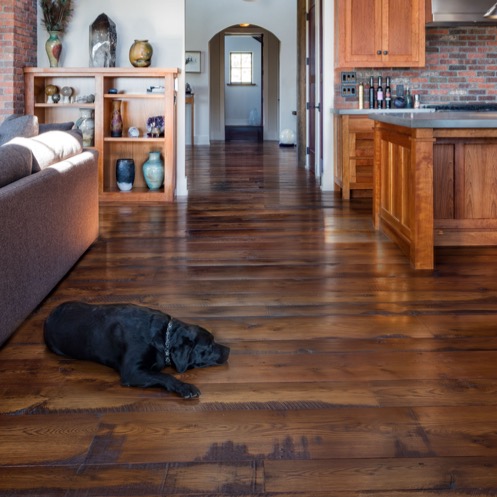 black labrador on white oak flooring