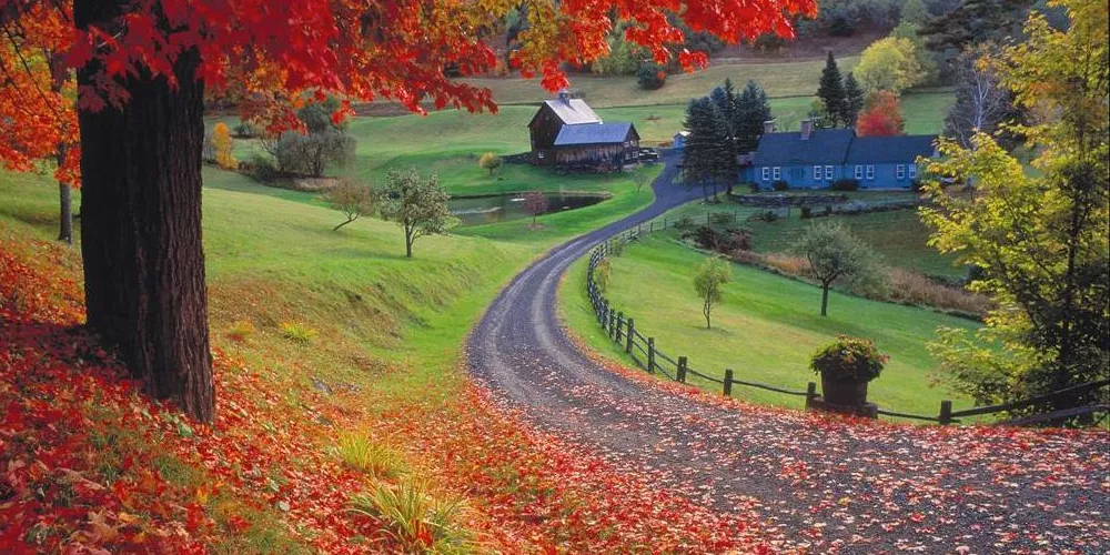 Vermont Autumn Colors