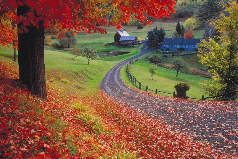autumn-leaves-vermont winding road